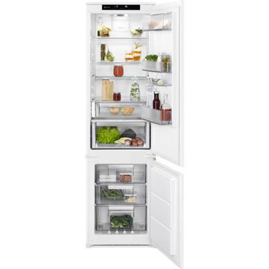 Встраиваемые холодильники Electrolux RNS9TE19S фото