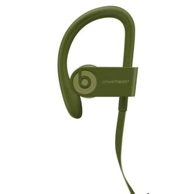 Наушники Beats by Dr. Dre Powerbeats3 Wireless Turf Green (MQ382) фото