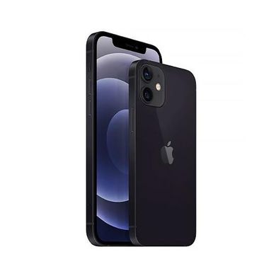 Смартфон Apple iPhone 12 mini 256GB Black (MGE93) фото