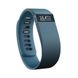 Fitbit Charge (Small/Slate)