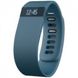 Fitbit Charge (Small/Slate)