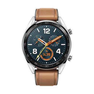 Смарт-годинник Смарт-часы Huawei GT Fortuna-B19 (Classic) Silver (55023257) фото