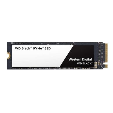 SSD накопитель WD Black SSD 1 TB (WDS100T2X0C) фото