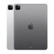 Apple iPad Pro 11 2022 Wi-Fi + Cellular 1TB Space Gray (MP5E3, MNYJ3) подробные фото товара