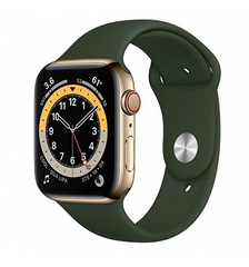 Смарт-часы Apple Watch Series 6 GPS + Cellular 40mm Gold Stainless Steel Case w. Cyprus Green Sport B. (M02W3) фото