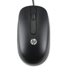 Мышь компьютерная HP USB Optical Scroll Mouse (QY777AA) фото
