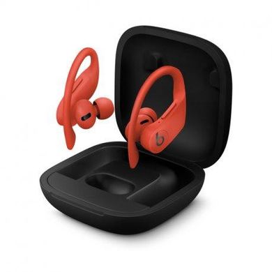 Наушники Beats by Dr. Dre Powerbeats Pro Lava Red (MXYA2) фото