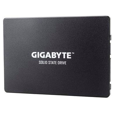 SSD накопичувач GIGABYTE GP-GSTFS31256GTND фото