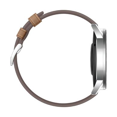 Смарт-часы Honor MagicWatch 2 46mm Flax Brown (55024944) фото