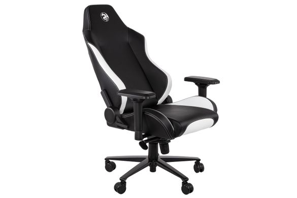 Геймерское (Игровое) Кресло 2E GC24 black/white (2E-GC24BLW) фото