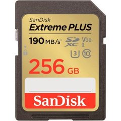 Карта памяти Sandisk Extreme PLUS 256GB SDXC Memory Card + 2 years Rescue (SDSDXWV-256G-GNCIN) фото
