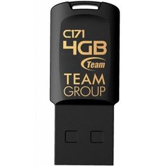 Flash пам'ять TEAM 4 GB C171 Black (TC1714GB01) фото