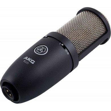 Микрофон AKG P220 Black (3101H00420) фото