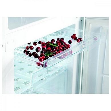 Холодильники Snaige RF30SM-S0002F фото