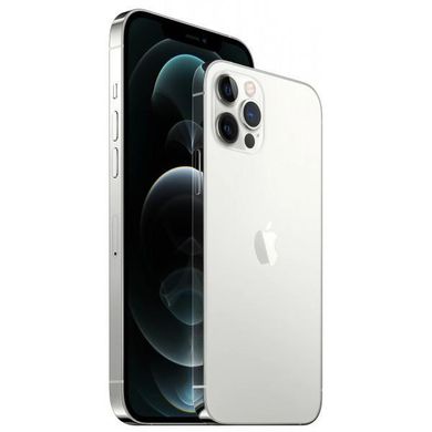 Смартфон Apple iPhone 12 Pro 256GB Dual Sim Silver (MGLF3) фото