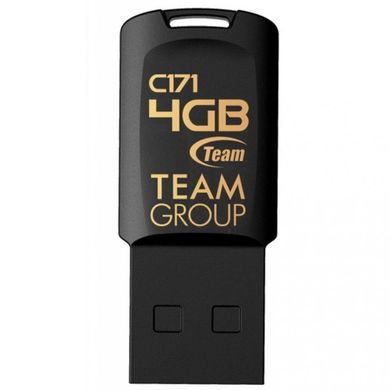 Flash память TEAM 4 GB C171 Black (TC1714GB01) фото