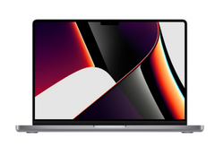Ноутбук Apple MacBook Pro 14" Space Gray 2021 (Z15G001WD) фото