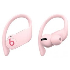 Навушники Beats by Dr. Dre Powerbeats Pro Cloud Pink (MXY72) фото