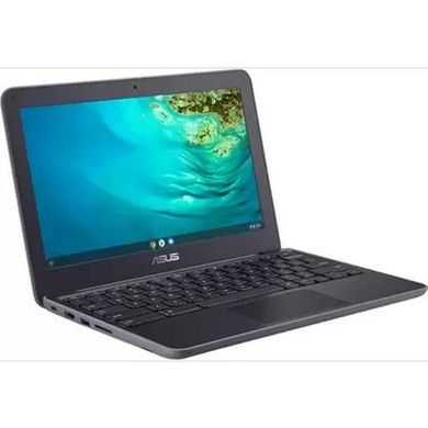 Ноутбук ASUS Chromebook C202 (C202XA-GJ0038) фото