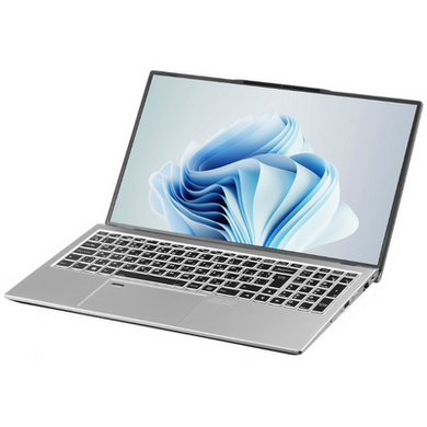 Ноутбук 2E Complex Pro 15 (NS51PU-15UA33) Silver фото
