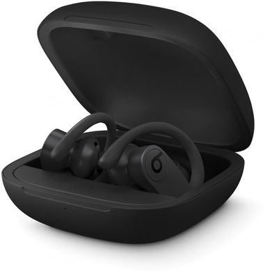 Наушники Beats by Dr. Dre Powerbeats Pro Black (MV6Y2) фото