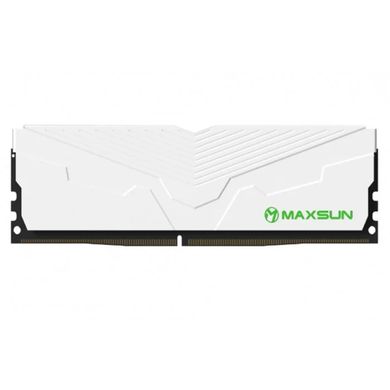 Оперативна пам'ять Maxsun 8 GB DDR4 3200 MHz Terminator White (MSD48G32W4) фото