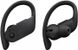 Beats by Dr. Dre Powerbeats Pro Black (MV6Y2) подробные фото товара