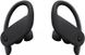 Beats by Dr. Dre Powerbeats Pro Black (MV6Y2) подробные фото товара