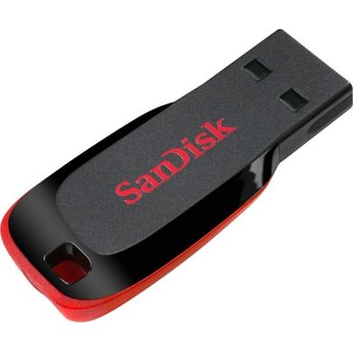 Flash память SanDisk 32 GB Cruzer Blade USB 2.0 Pink (SDCZ50C-032G-B35PE) фото