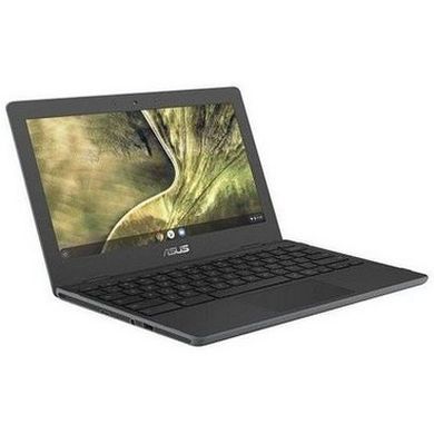 Ноутбук ASUS Chromebook C204MA (C204MA-GJ0314) фото