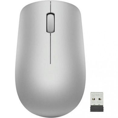 Мышь компьютерная Lenovo 530 Wireless Platinum Grey (GY50Z18984) фото