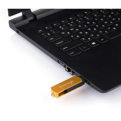 Flash память Exceleram 128 GB P2 Series Gold/Black USB 3.1 Gen 1 (EXP2U3GOB128) фото