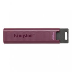 Flash память Kingston 256 GB DataTraveler Max USB 3.2 Gen 2 (DTMAXA/256GB) фото