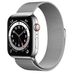 Смарт-часы Apple Watch Series 6 GPS + Cellular 40mm Graphite S. Steel Case w. Graphite Milanese L. (MG2U3+M06Y3) фото