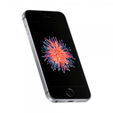 Смартфон Apple iPhone SE 32GB Space Grey (MP822) фото