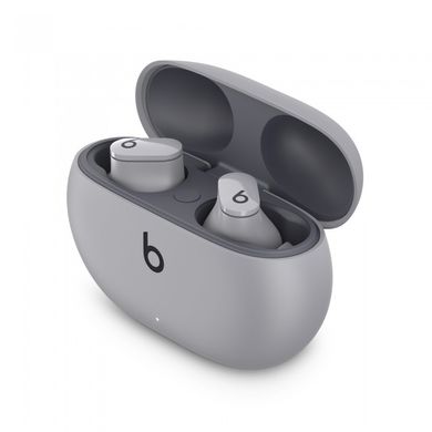 Наушники Beats by Dr. Dre Studio Buds Moon Gray (MMT93) фото