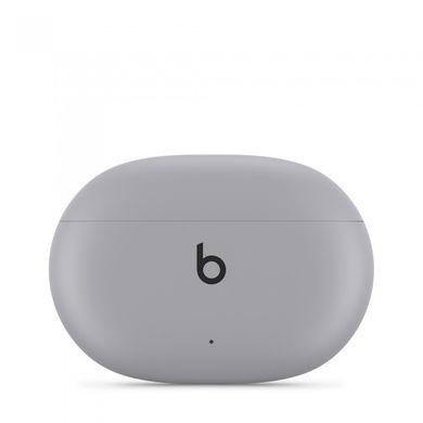 Наушники Beats by Dr. Dre Studio Buds Moon Gray (MMT93) фото