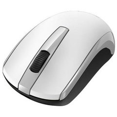 Мышь компьютерная Genius ECO-8100 White (31030010409, 31030004401) фото