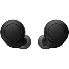 Навушники TWS Sony WF-C500 Black (WFC500B.CE7) фото