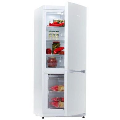 Холодильники Snaige RF27SM-P0002E фото