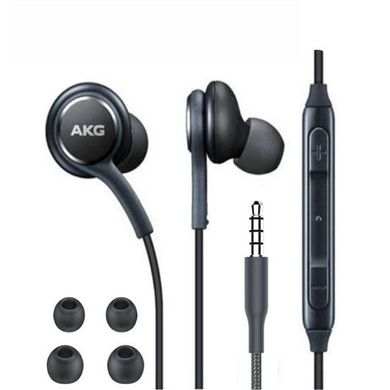 Навушники AKG EO-IG955 Black фото