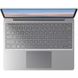 Microsoft Surface Laptop GO Silver (THJ-00046) подробные фото товара