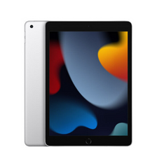 Планшет Apple iPad 2021 10.2" Wi-Fi + Cellular 256GB - Silver (MK4H3FD/A) фото