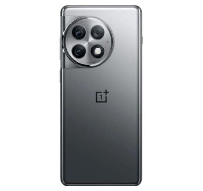 Смартфон OnePlus Ace 2 Pro 12/256GB Titanium Gray фото