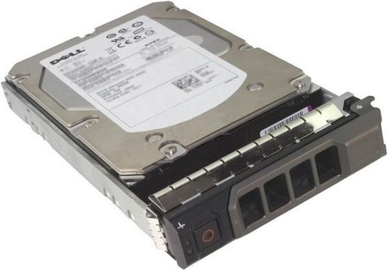 Жесткий диск Dell PowerEdge 400-BMGP фото