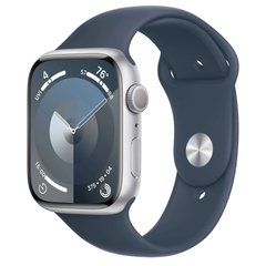 Смарт-часы Apple Watch Series 9 GPS 45mm Silver Alu. Case w. Storm Blue S. Band - M/L (MR9E3) фото