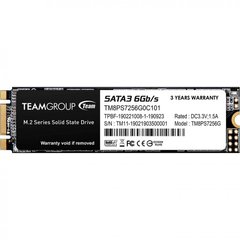 SSD накопичувач TEAM MS30 256 GB (TM8PS7256G0C101) фото