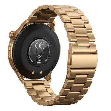Смарт-часы Gelius Pro GP-SW010 Amazwatch GT3 Bronze Gold (2099900942570) фото