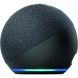 Amazon Echo Dot 4rd Generation Charcoal (B07XJ8C8F5)