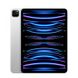 Apple iPad Pro 12.9 2022 Wi-Fi + Cellular 1TB Silver (MP653, MP253) детальні фото товару